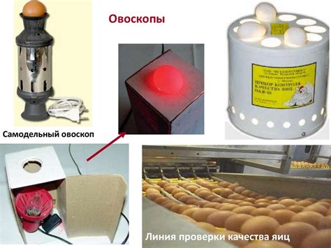 Использование воды для определения качества яиц