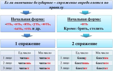 Использование глаголов в имени для придания уникальности вашему питомцу