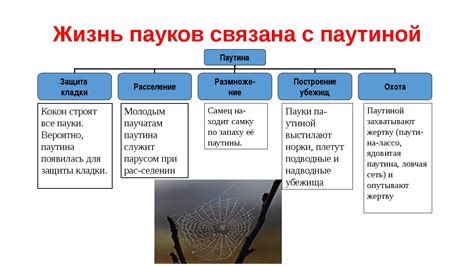 Использование паутины в верстаке для получения нити