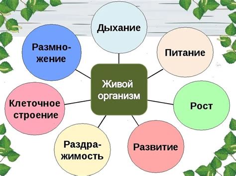 Использование растений для придания живого оттенка окружающей среде