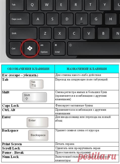 Использование символов на клавиатуре ноутбука: практические советы