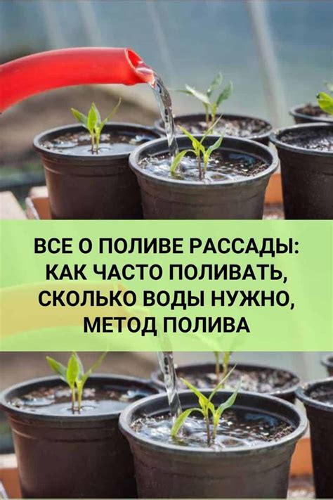 Использование снов о поливе растений в практике самопознания