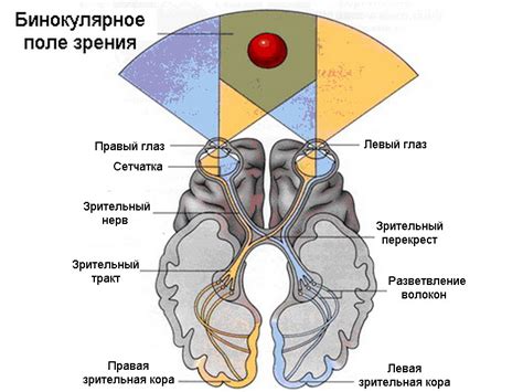 Исследуемые методы обеспечения отсутствия зрения