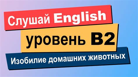 Исследуйте и выбирайте дополнительные источники информации для улучшения своего английского языка