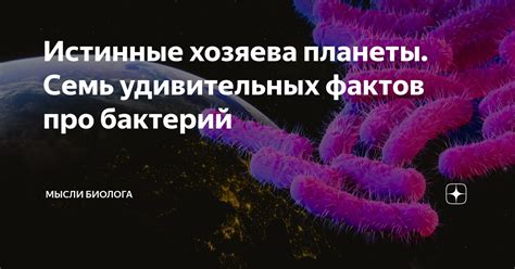 Истинные хозяева планеты: особенности их внешности и поведения