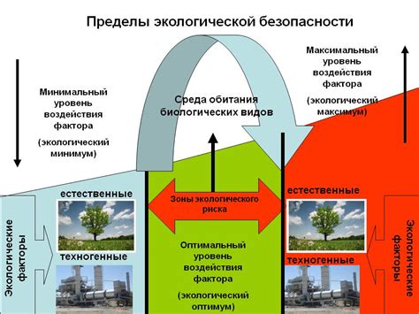 История возникновения понятия "экологическая нагрузка на окружающую среду"