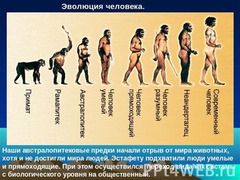 История происхождения и первоначальные концепции