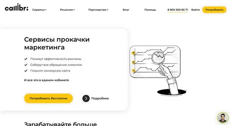 Казахстанский стим: принципы работы и суть платежной системы