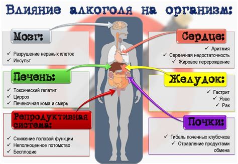 Как воздействуют пиявки на организм: механизмы и влияние