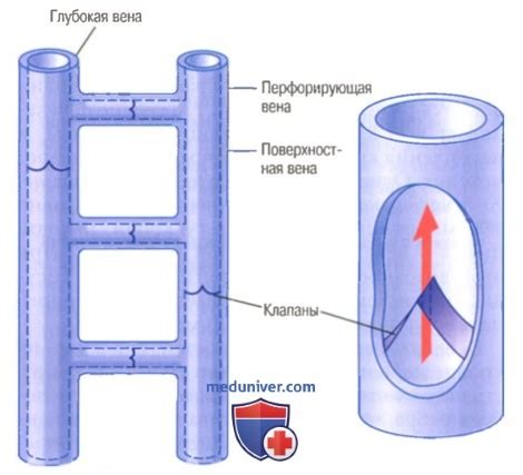 Как возникает несостоятельность клапанов ВПА