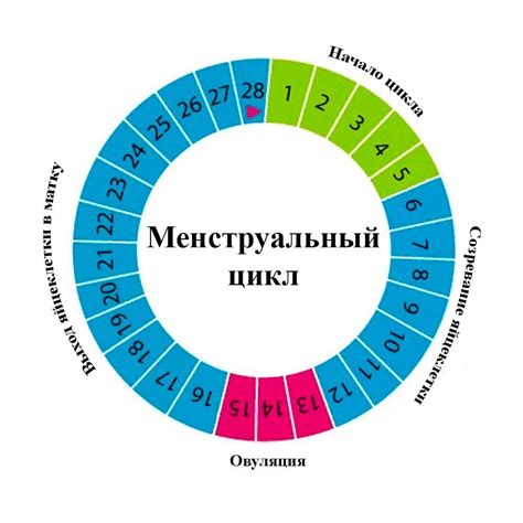 Как восстановить месячный цикл после двухмесячной задержки