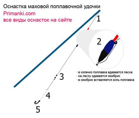 Как выбрать подходящие компоненты для самостоятельного создания снасти для ловли карася