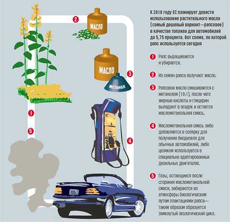 Как выбрать подходящий вид топлива для вашего автомобиля: полезные советы и рекомендации