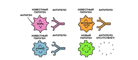 Как действуют вакцины: основополагающие принципы и механизм эффекта