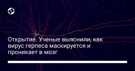 Как же зловещий вирус бессмертных проникает в мозг и изменяет черты личности?