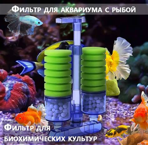 Как избежать ошибок при эксплуатации фильтрация воды в аквариуме с барбусами?