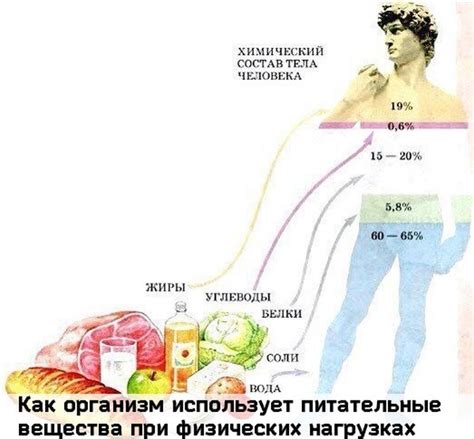 Как компенсировать недостающие питательные вещества