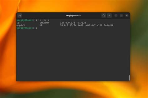 Как определить локальный IP-адрес в операционной системе Linux?