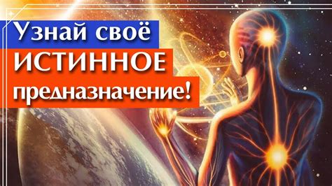 Как осознать свое кармическое предназначение через особые ключевые моменты жизни