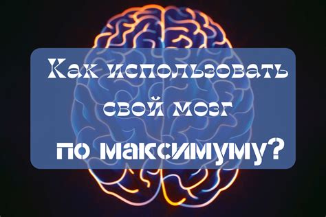 Как подготовить свой мозг к продуктивному режиму работы?