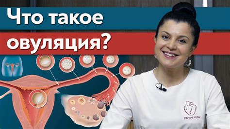 Как понять, что наступает овуляция: ключевые признаки, которые следует заметить