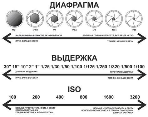 Как правильно подобрать диафрагму для идеальной фотосъемки