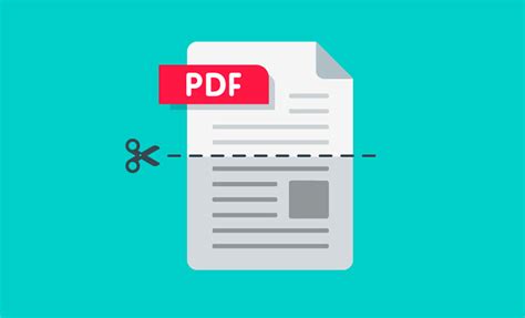 Как разделить страницы в PDF с помощью приложения Smallpdf