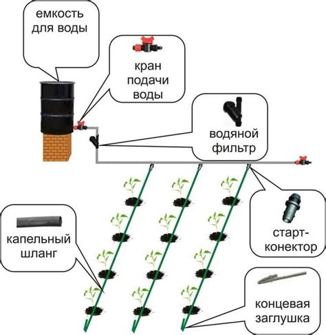 Как создать оптимальную систему орошения для урожайных растений в условиях природного окружения