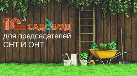 Как сформировать успешное дополнительное хозяйство в садоводческом товариществе: ценные рекомендации и подсказки