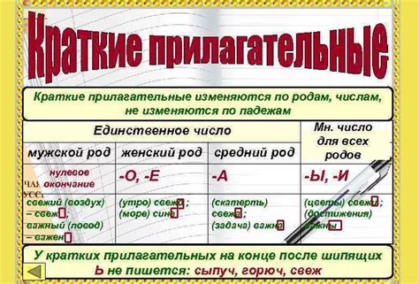 Как точно определить суть прилагательных по их форме и характеристикам?