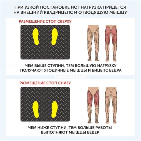 Как увеличить окружность ног: основные принципы тренировок