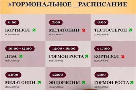 Как узнать, что происходит с вашим организмом за 72 часа