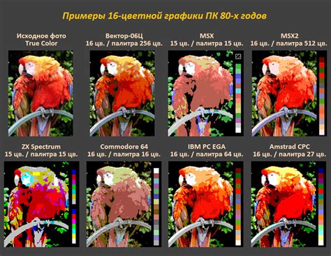 Камера и фотографии: сравнение возможностей систем