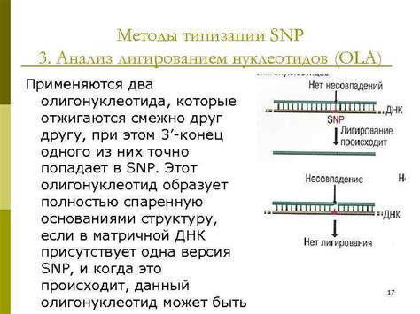 Картирование генома