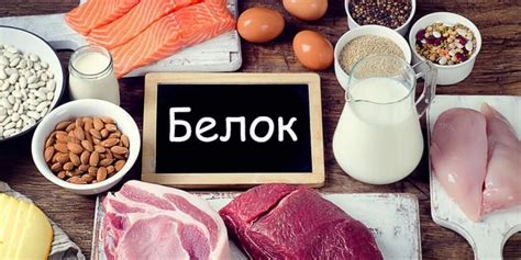 Качество пищевого белка и его эффективность для организма