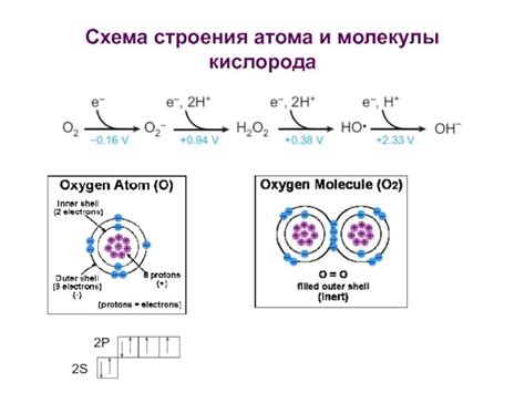 Кислород: строение электронной оболочки