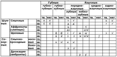 Классификация звонких и глухих согласных по артикуляции