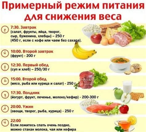 Ключевые аспекты при выборе диеты для снижения веса