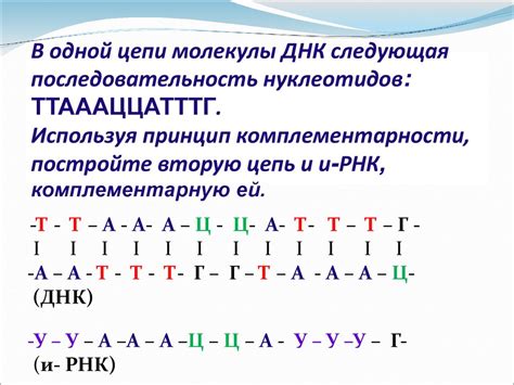 Код: шифры наследственности