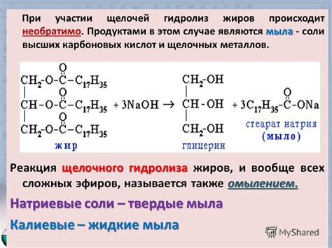 Колориметрия: определение содержания жиров в растительной цитоплазме