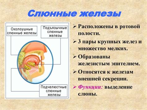 Консистенция слюны: определение нормы