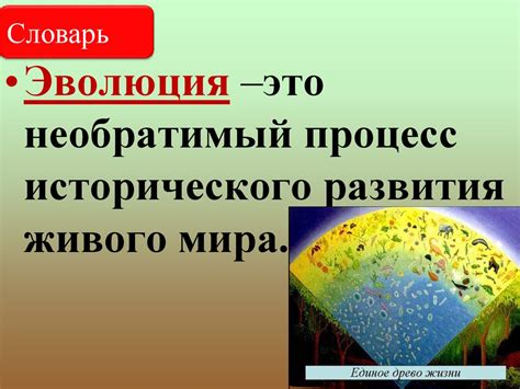 Конструкция со светозащитными атрибутами для глаз в пространстве растительного мира