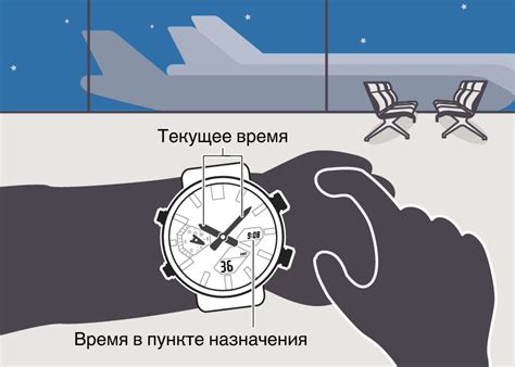 Консультации для плавного перехода на другой часовой пояс