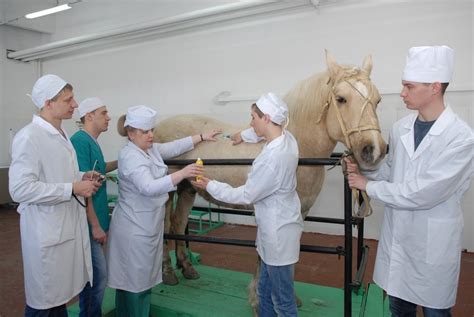 Консультация с профессионалом в сфере ветеринарии и экспертом по зоопитанию