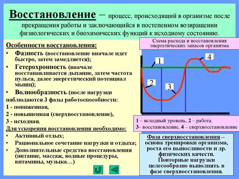 Контроль и анализ эффектов после прекращения работы центрального узла