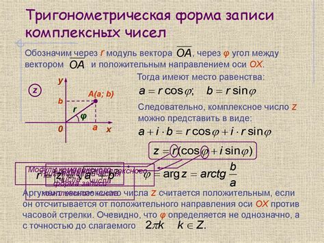 Концепция модуля в комплексных числах: важное свойство для определения его величины и направления