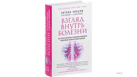 Краткая инструкция: безопасные и эффективные способы освежить взгляд вашей любимицы