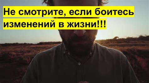 Критический анализ читателей: как взгляды влияют на исчезновение манги