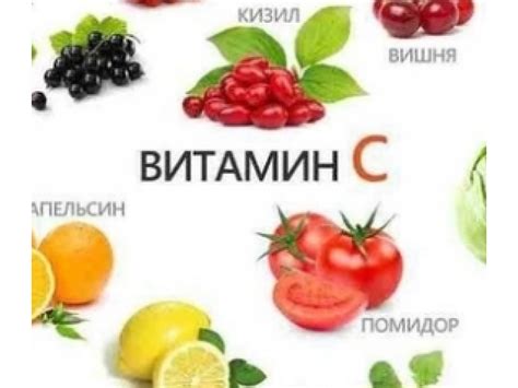 Кроветворение и важность его функции в организме