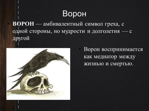 Крыса в разных культурах мира: символ и значение